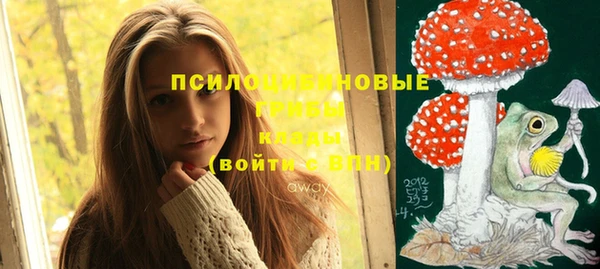 первитин Протвино