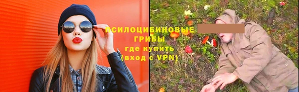 дмт Пролетарск