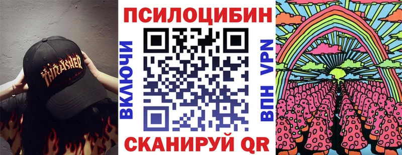 магазин продажи   Холм  Псилоцибиновые грибы мицелий 